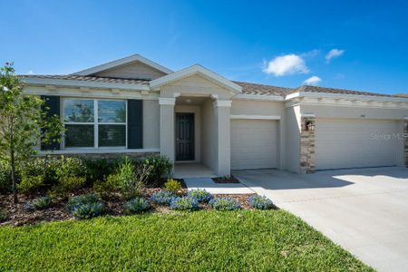 New construction Single-Family house 3115 Canopy Oak Blvd, Wildwood, FL 34785 - image