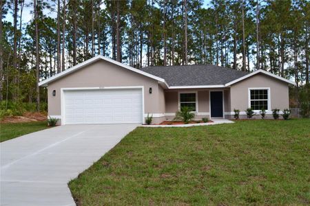 New construction Single-Family house 6660 N Bedstrow Blvd, Dunnellon, FL 34434 - image