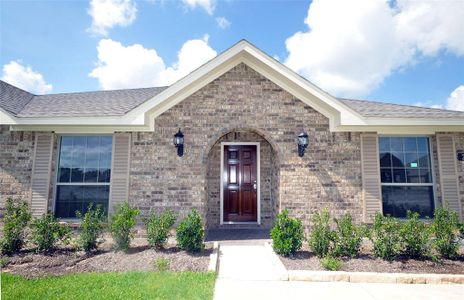 New construction Single-Family house 2118 Palmilla Rd, League City, TX 77539 null- photo 3 3