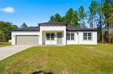 New construction Single-Family house 13205 Sw 65Th Cir, Ocala, FL 34473 - image