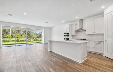 New construction Single-Family house 20715 Balsam Hill Rd, Land O' Lakes, FL 34638 Winthrop- photo 6 6