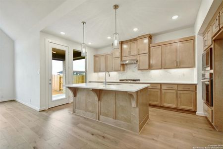 New construction Single-Family house 1680 Seekat, New Braunfels, TX 78132 Kahlo Plan- photo 3 3