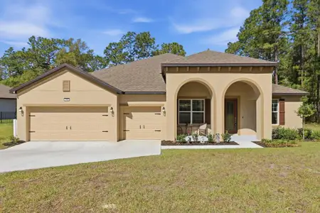 New construction Single-Family house 7 Bells Of Ireland Ct, Homosassa, FL 34446 - image