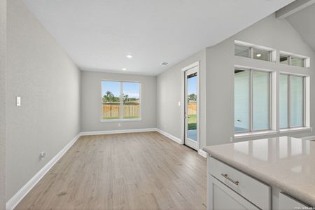 New construction Single-Family house 176 Janice, Castroville, TX 78009 - image 8