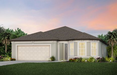 New construction Single-Family house 9009 Sw 52Nd Place Road, Ocala, FL 34481 Prosperity- photo 0