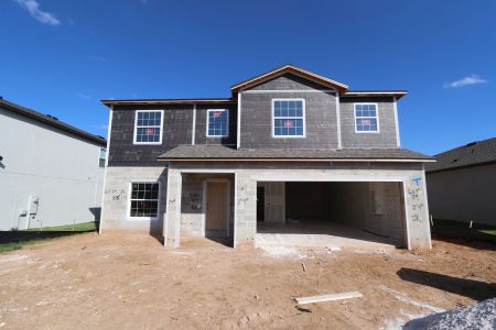 New construction Single-Family house 12294 Hilltop Farms Dr, Dade City, FL 33525 Malibu- photo 74 74