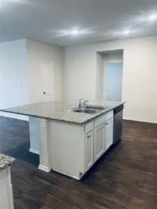 New construction Single-Family house 218 Sickle Lp, Kyle, TX 78640 - image