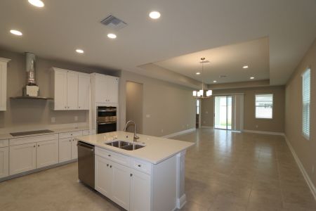 New construction Single-Family house 4763 Beachrose Way, Lakeland, FL 33811 Picasso- photo 48 48