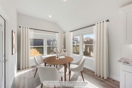 New construction Single-Family house 7316 Iris Rd, Little Elm, TX 76227 plan Rose II - image 9