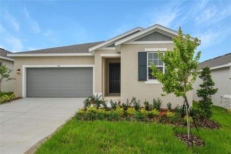 New construction Single-Family house 722 Benz Street, Lake Wales, FL 33898 Olive- photo 0