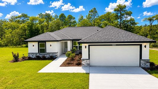 New construction Single-Family house 15093 Gonzo Rd, Brooksville, FL 34614 - image