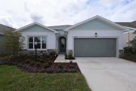 New construction Single-Family house 11317 Hardwood Hammock Ln, Riverview, FL 33569 plan The Northglen - image
