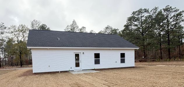New construction Single-Family house 141 Trotter Ln, Orangeburg, SC 29118 - image