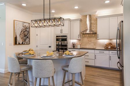 New construction Single-Family house 11335 Striped Bass Ct, New Port Richey, FL 34654 plan Salerno - image 6