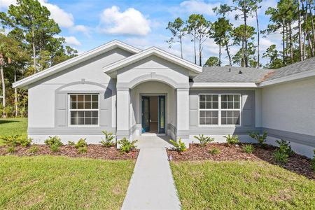 New construction Single-Family house 27 Poindexter Ln, Palm Coast, FL 32164 null- photo 5 5