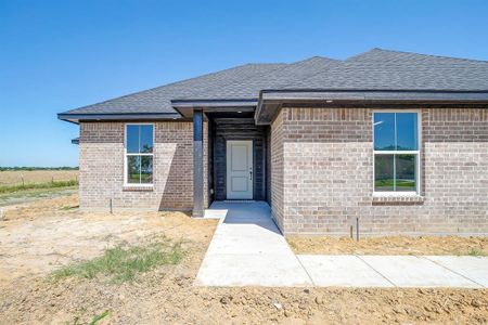 New construction Single-Family house 320 Cherry Point Dr, Palmer, TX 75152 - image