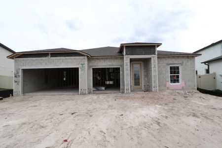 New construction Single-Family house 3116 Marine Grass Dr, Wimauma, FL 33598 Barcello- photo 30 30