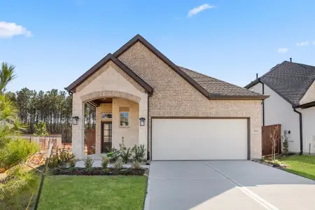 New construction Single-Family house 295 Mallards Rim Ct, Willis, TX 77318 - image