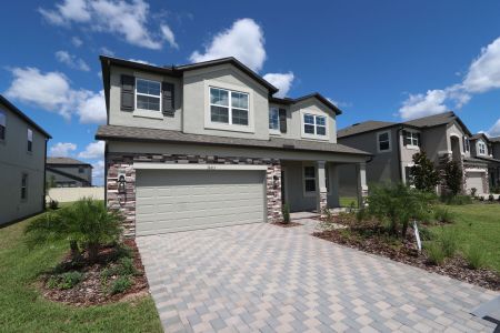 New construction Single-Family house 38433 Pindos Dr, Dade City, FL 33525 Mira Lago- photo 122 122