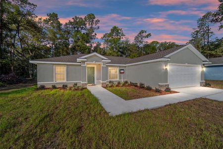 New construction Single-Family house 8836 N Sandree Dr, Citrus Springs, FL 34434 - image