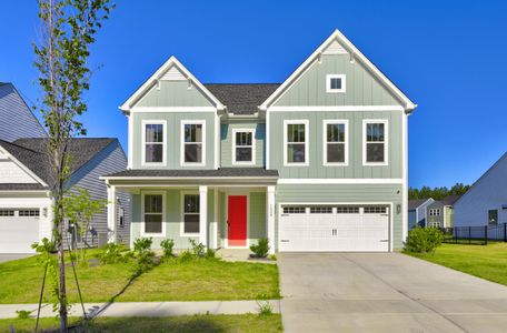New construction Single-Family house 1008 Field Sparrow Dr, Ravenel, SC 29470 - image