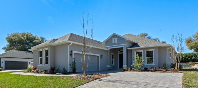 New construction Single-Family house 6538 Lake Griffin Road, Lady Lake, FL 32159 - photo 0 0