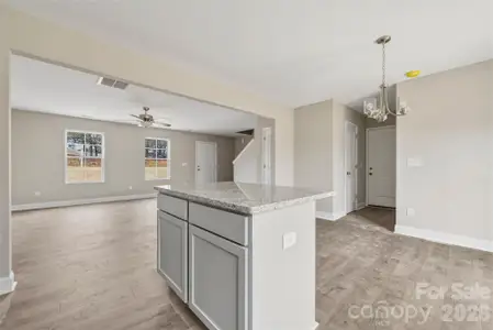 New construction Single-Family house 171 Yellow Branch Rd, Pageland, SC 29728 - image 7