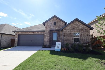 New construction Single-Family house 164 Summer Rain Wy, Newark, TX 76071 plan Daffodil IV - image