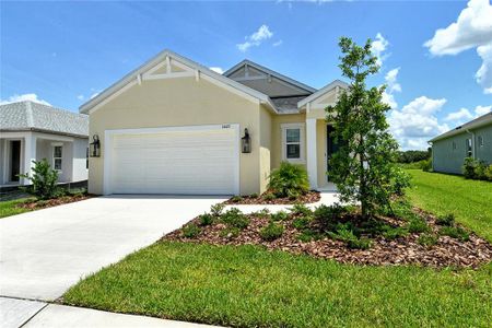 New construction Single-Family house 14427 Skipping Stone Loop, Parrish, FL 34219 - photo 0