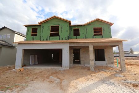 New construction Single-Family house 38318 Tobiano Loop, Dade City, FL 33525 Malibu- photo 19 19