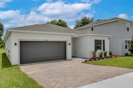 New construction Single-Family house 3060 Sunscape Ter, Groveland, FL 34736 - image
