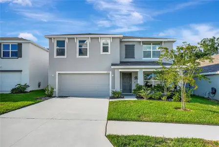 New construction Single-Family house 7737 Rosewood Garden Lp, Tampa, FL 33637 - image