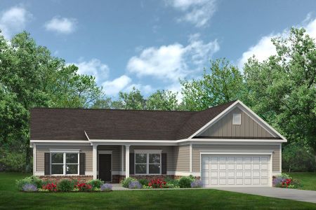 New construction Single-Family house 19 Double Barrel St, Lillington, NC 27546 null- photo 3 3