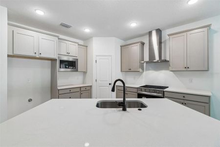New construction Single-Family house 19709 Fort King Run, Brooksville, FL 34601 - image 12