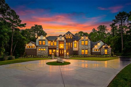 New construction Single-Family house 19314 Chateau Ridge Ct, Tomball, TX 77377 - image