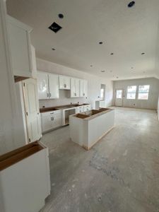 New construction Single-Family house 185 Kings Canyon Dr, Dripping Springs, TX 78620 Travis- photo 3 3