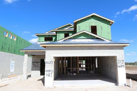 New construction Single-Family house 30980 Pendleton Landing Cir, Wesley Chapel, FL 33545 Magnolia- photo 19 19