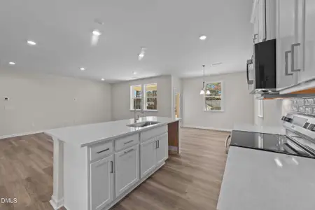 New construction Single-Family house 27 Baird Cove Ln, Angier, NC 27501 plan The Concerto - image 5