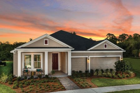 New construction Single-Family house 11706 Capstan Place, Parrish, FL 34219 - photo 0