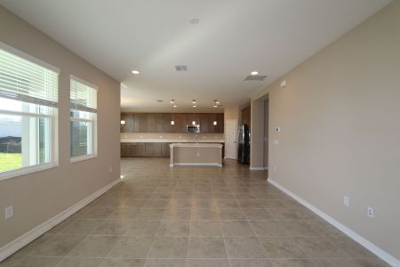 New construction Single-Family house 38326 Tobiano Loop, Dade City, FL 33525 Casanova- photo 138 138