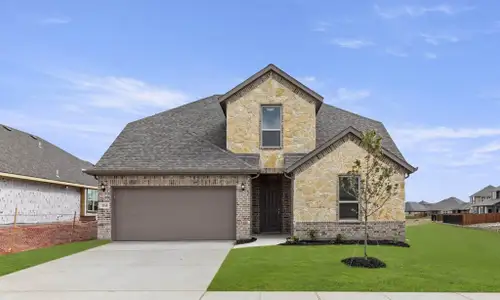 New construction Single-Family house 120 Whistling Duck Dr, Balch Springs, TX 75181 plan Brighton - image