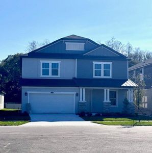 New construction Single-Family house 10205 Jackson Landing Pl, Tampa, FL 33624 null- photo 0
