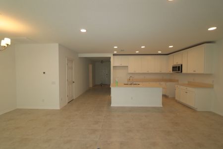 New construction Single-Family house 12942 Castle Oaks Dr, Hudson, FL 34669 plan Sentinel - image