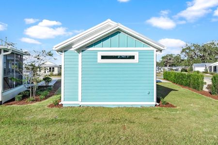 New construction Single-Family house 12176 Grand Oak Lane, Wildwood, FL 34484 - photo 25 25