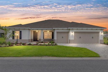 New construction Single-Family house 10833 Sw 101St Lp, Ocala, FL 34481 - image