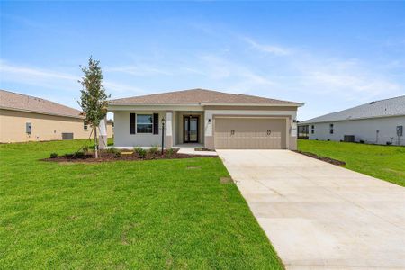 New construction Single-Family house 10377 Sw 106Th Ct, Ocala, FL 34481 - image 2