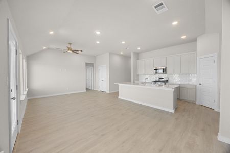 New construction Single-Family house 110 Divisadero Dr, Hutto, TX 78634 plan Brazos | Prairie Winds - image 16