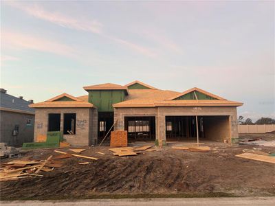 New construction Single-Family house 33482 Twilight Sea Pl, Wesley Chapel, FL 33545 - image