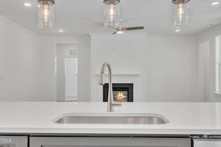 New construction Single-Family house 9152 Dupree Meadow Dr, Unit 12, Angier, NC 27501 - image 14