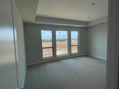 New construction Single-Family house 2949 Redwood Grv, Leander, TX 78641 Llano II- photo 13 13